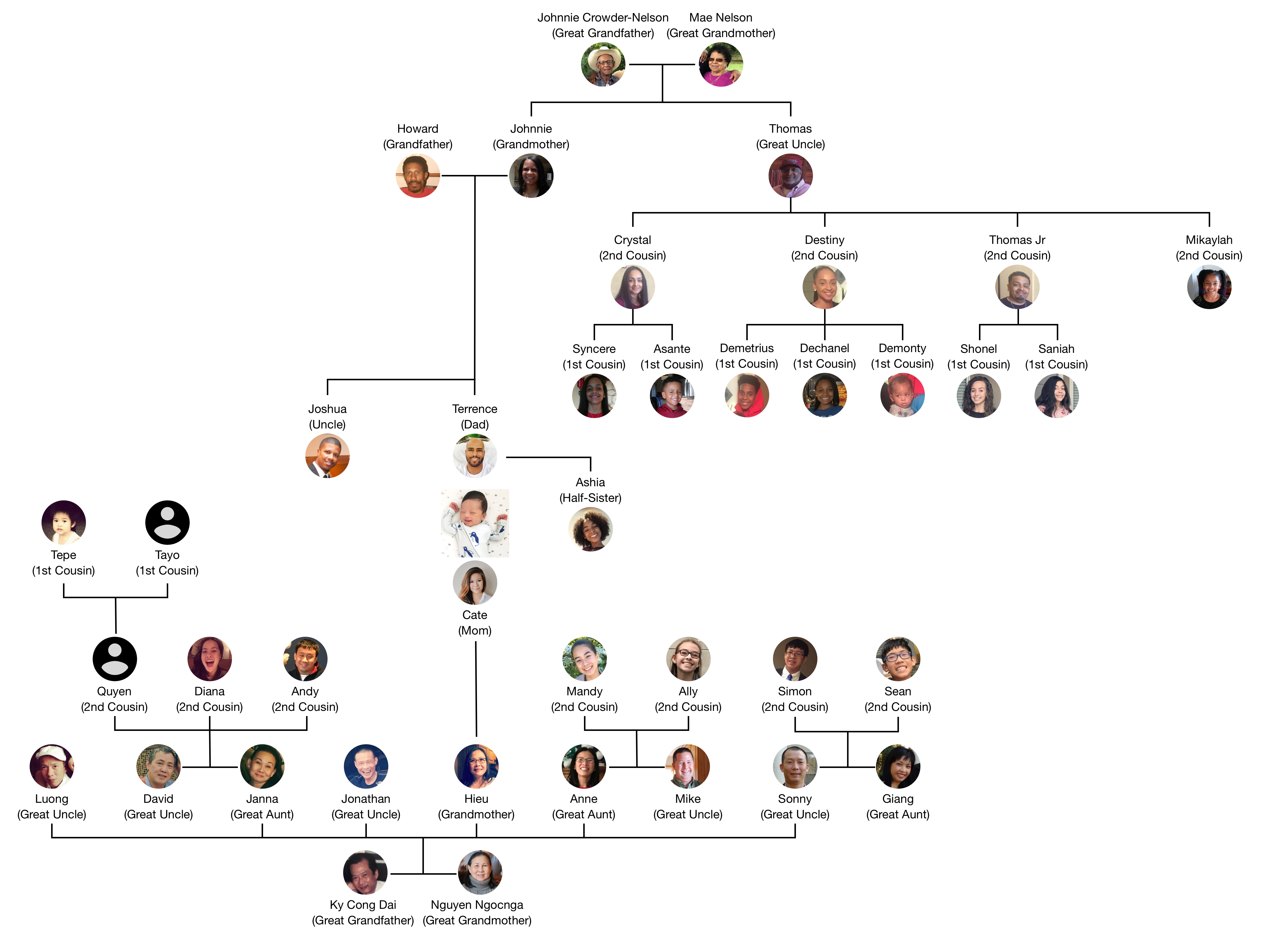 Family Tree_2@1x